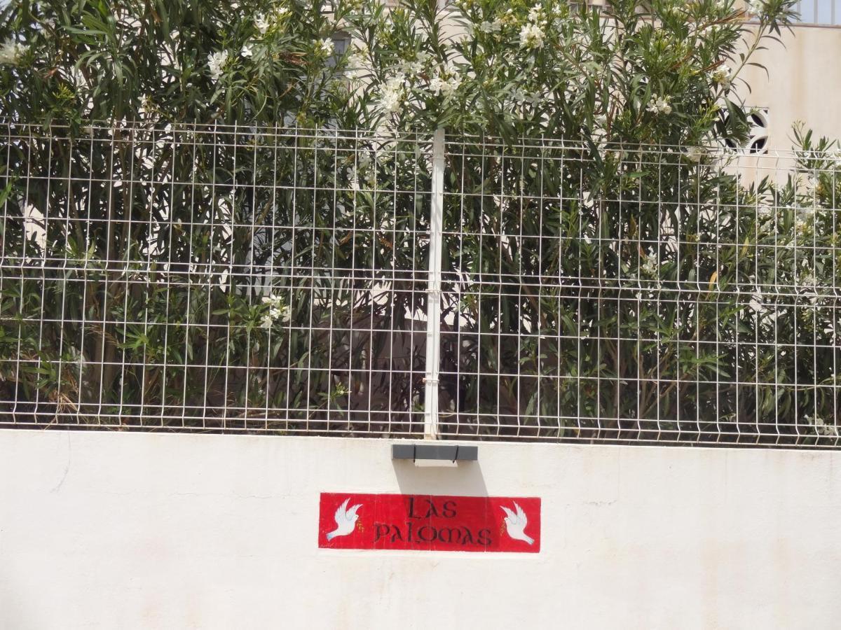 Las Palomas, Appartement 2 Chambres Avec Piscine Turís Buitenkant foto